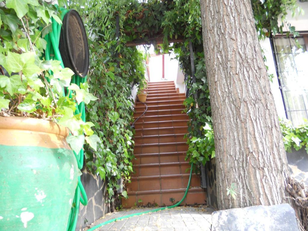 Pension Barrio Fuenteheridos Exterior photo